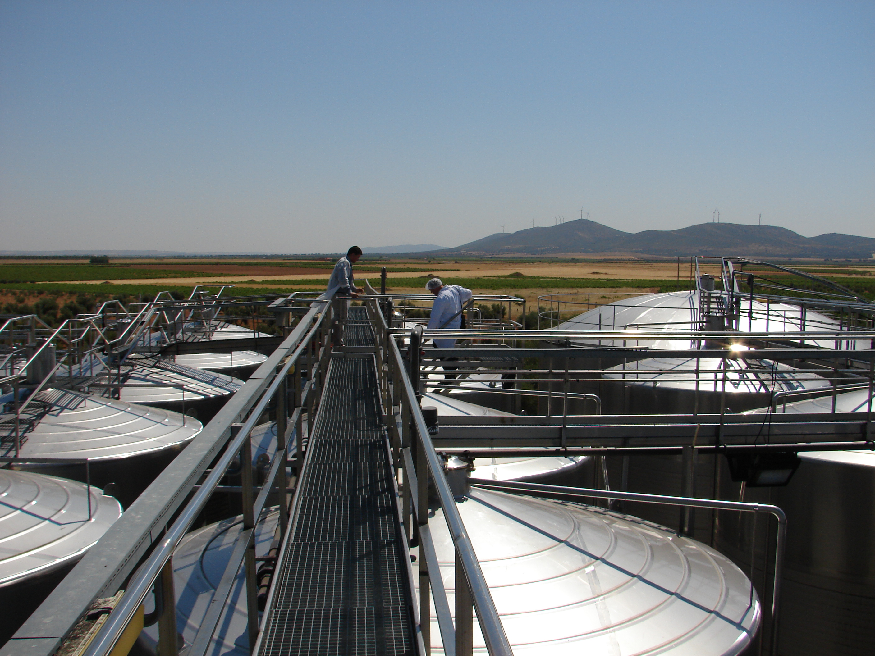 Modern stainless steel fermentation tanks at our winery